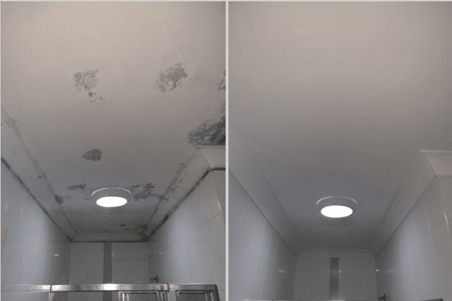 moss-mould-removal-service-auckland