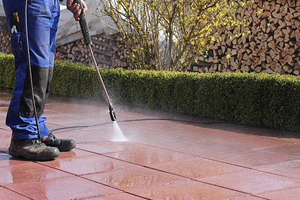 Cleaning Company in Auckland, Best cleaning services in auckland, Best cleaning company auckland, Pest Control , Home Cleaning, Commercial Cleaning in auckland, Residential Services in auckland, Property Management in auckland, Property Management auckland, Office Cleaning, Office Cleaning in auckland